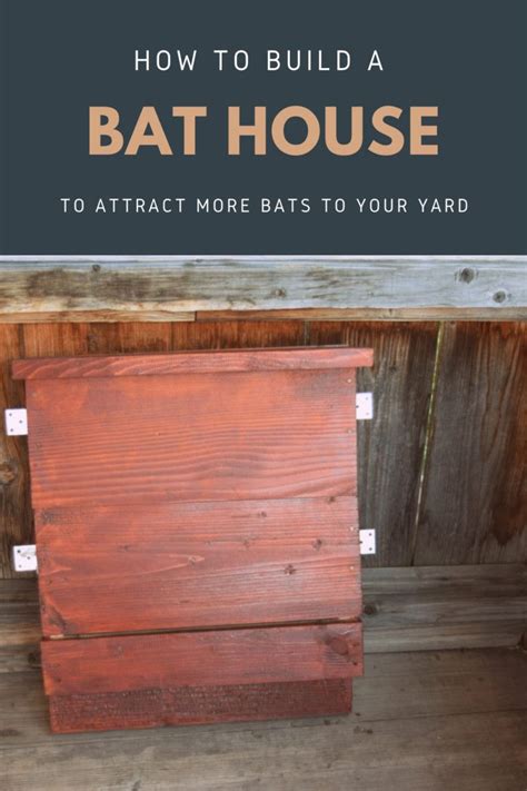 How To Build A Bat House To Attract More Bats To Your Yard | Build a bat house, Bat house, Bat ...