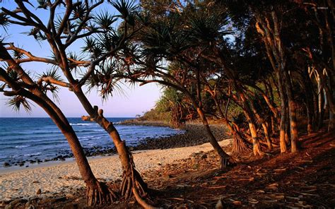 Noosa National Park wallpaper - Nature wallpapers - #6252