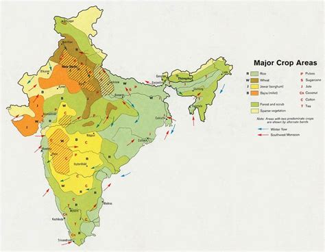 The major crop growing areas of India. Growing regions for the primary ...