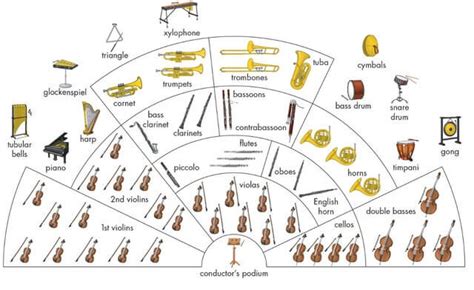 Breaking Down the Orchestra Different Sections and Their Unique Sounds - The BOCA SYMPHONIA