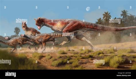 Carnotaurus sastrei dinosaurs hunting, illustration. These carnivorous theropods lived during ...