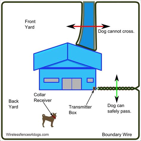 How to Set up an Underground Dog Fence | Wirelessfences4dogs.com