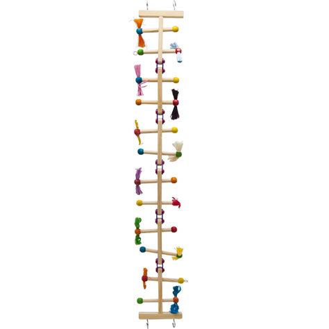 List of Best Bird Ladders and What to Look for When Buying