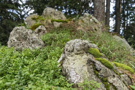 Andesite is Volcanic Rock Which You Can Find Also in Slovenia Stock Image - Image of abstract ...