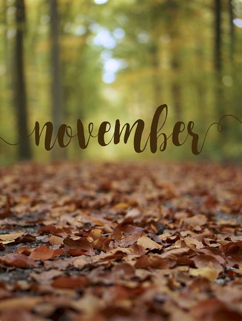 November Background iPhone - KoLPaPer - Awesome Free HD Wallpapers