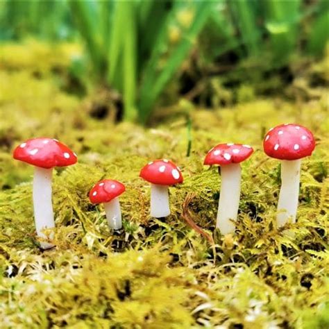 Five Fairy Garden Toadstools - Away with the Fairies