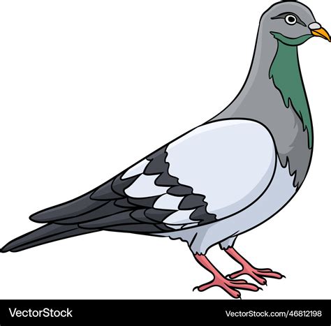 Pigeon cartoon colored clipart Royalty Free Vector Image