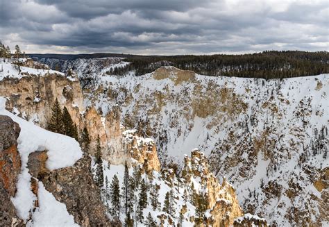 Winter in Yellowstone 2020 - Leeson Photography