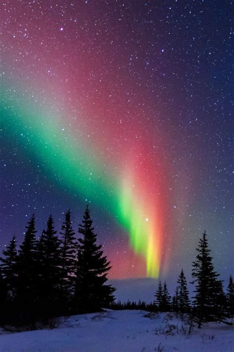 Beauty: Northern lights - a miracle of nature. Churchill, Manitoba ...