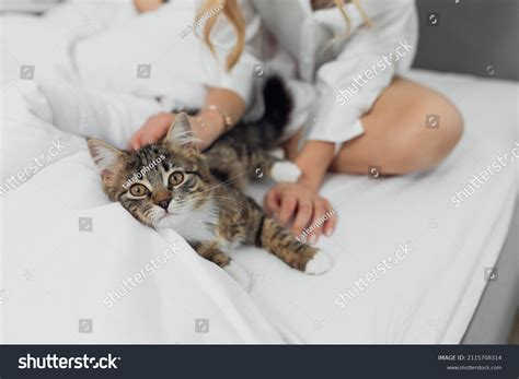 Photo Confused Funny Cat Young Woman Stock Photo 2115708314 | Shutterstock