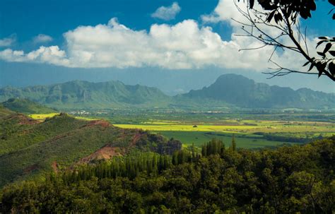 Hiking Sleeping Giant Trail (Nounou Trail) | Local Guide To Kauai | Makana Charters Na Pali Boat ...