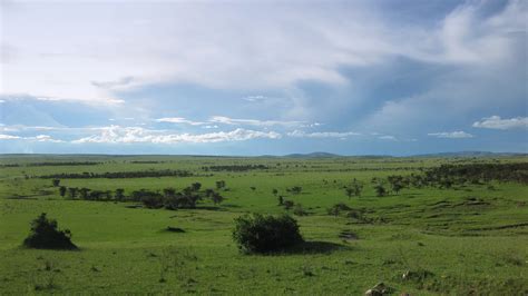 The Serengeti Plains | Northern Serengeti, Tanzania. | Vince Smith | Flickr