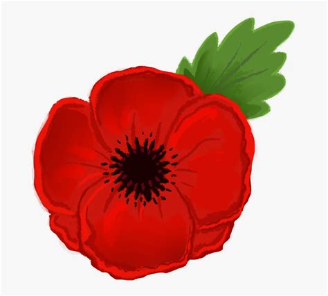 How To Draw A Poppy Flower Easy Step By | Best Flower Site