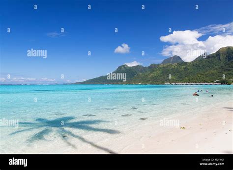 Temae Beach, Moorea, Society Islands, French Polynesia Stock Photo - Alamy