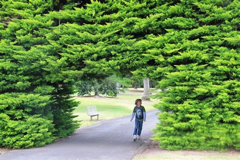 framed Warrnambool Botanic Gardens_0625 | gervo1865_2 - LJ Gervasoni | Flickr