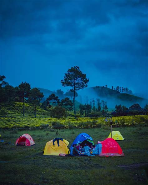 Wisata Javana Sehat, Camping dengan View Telaga Saat dan Perkebunan Teh ...