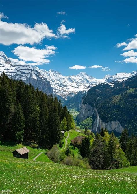 Snowy Mountains and Green Landscapes in Switzerland