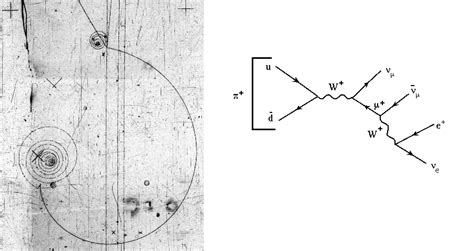 Particles in bubble chambers