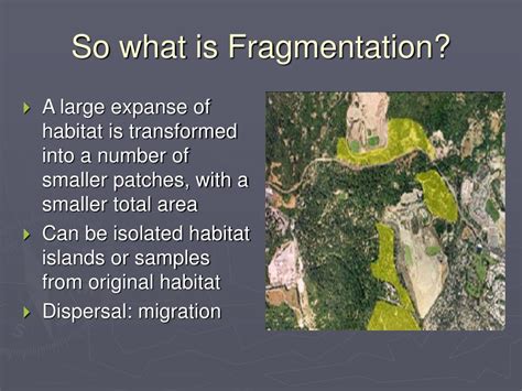 PPT - Habitat Fragmentation in the Temperate Zone PowerPoint ...