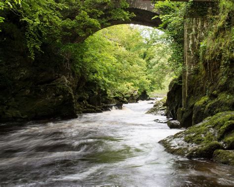 River Roe Limavady N.Ireland | Ireland homes, Scenery, River