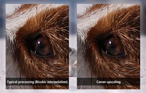 Neural Network Upscaling Technology | Canon Global