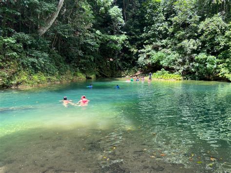 5 Hiking Trails in Trinidad & Tobago | Nature Trekking in T&T - Life In ...