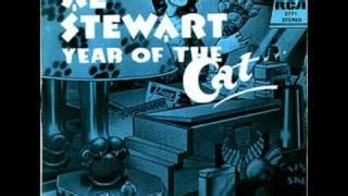 Year Of The Cat Chords by Al Stewart - ChordU