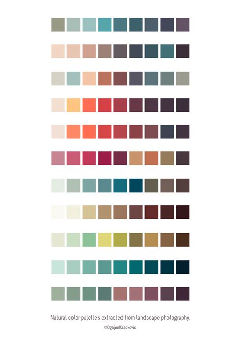 Procreate Color Palette, Nature Color Palette, Fall Color Palette ...