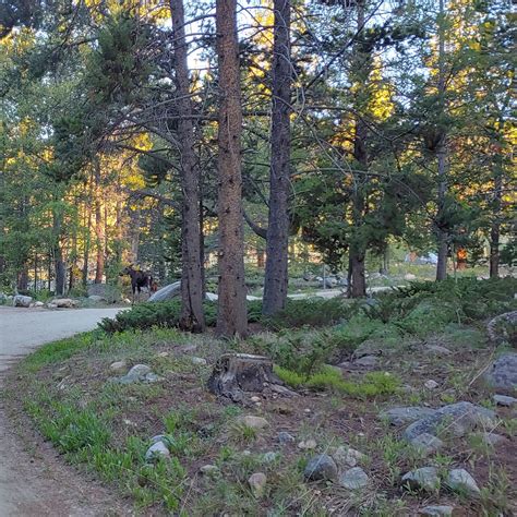 Boulder Park Campground | The Dyrt