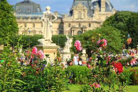 Jardin des Tuileries #Paris August 2014 | Europe travel, Paris, Europe