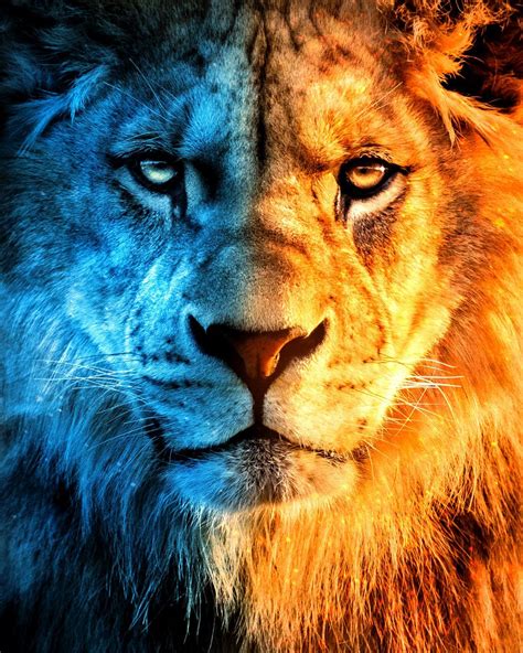 Discover more than 59 fire lion wallpaper latest - in.cdgdbentre