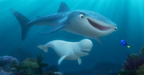 How To Speak Whale Like Dory & Be Ready To Chat Up Any Beluga