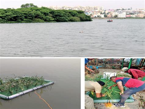 Bengaluru: Islands of ‘hope’ at Madiwala Lake