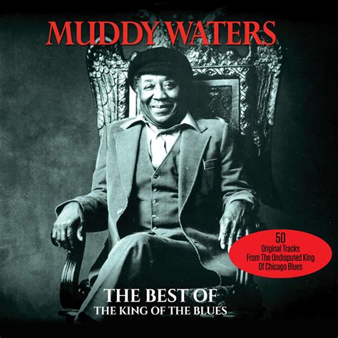 Best Muddy Waters Album - Pregnant Health Tips