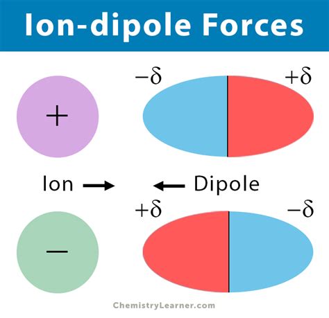 Ion-dipole Forces (Interaction): Definition and Examples