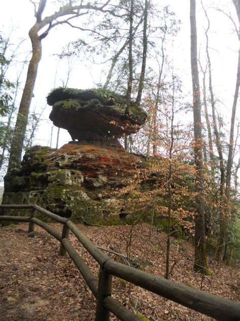 Red River Gorge/ Natural Bridge State Park, Kentucky