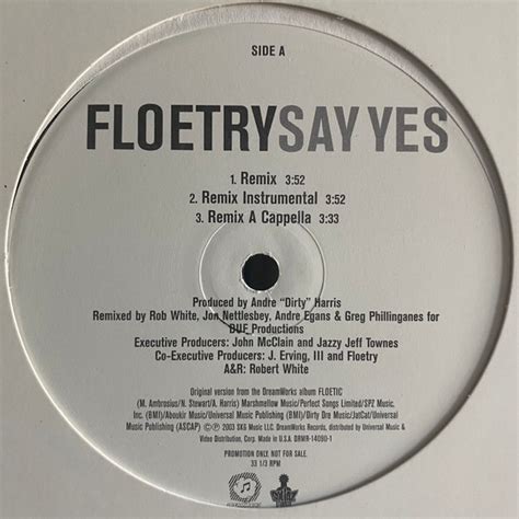 Floetry – Say Yes (Remix) (2003, Vinyl) - Discogs