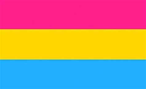 Perfectflags Pansexual Flag 5ft x 3ft Large - 100% Polyester - Metal ...