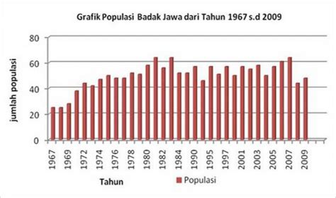 Badak Jawa - Ensiklopedi Jurnal Bumi