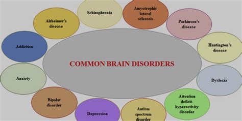 9 Different Types Of Brain Diseases And Disorders You Should Know About | OnlyMyHealth