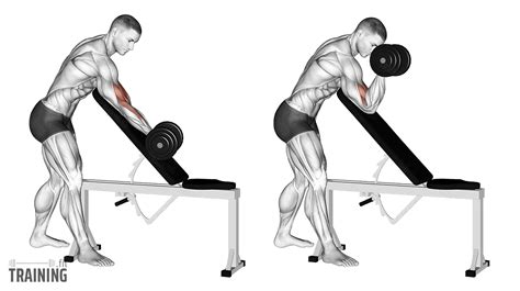 Incline Bench Preacher Curls - Instructions, Information & Alternatives ...