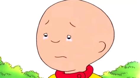 Why Caillou Is Bald? Caillou's Baldness Reason Explained! - DotComStories