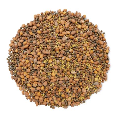 Organic Spicy Mix of Sprouting Seeds Buy in Bulk from Food to Live