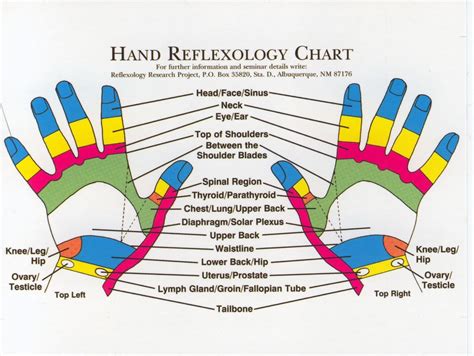 Reflexology Products: Hand Reflexology Charts personalized