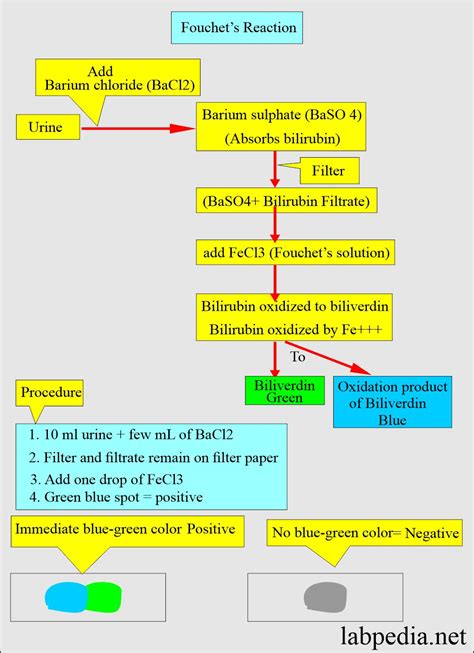 Urine Bilirubin, Bilirubinuria - Labpedia.net