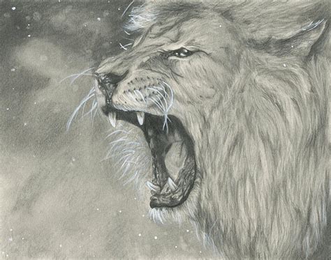 Roaring Lion Drawing by Raquel Ventura - Fine Art America