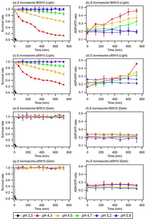 ACP - Effects of pH and light exposure on the survival of bacteria and their ability to ...