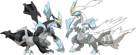 White Kyurem & Black Kyurem | Smogon Forums