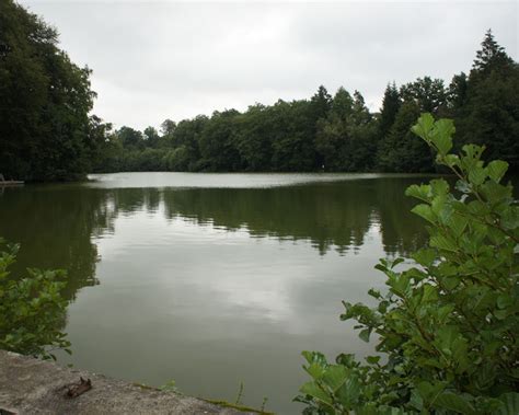 The Lake - Fishing In France