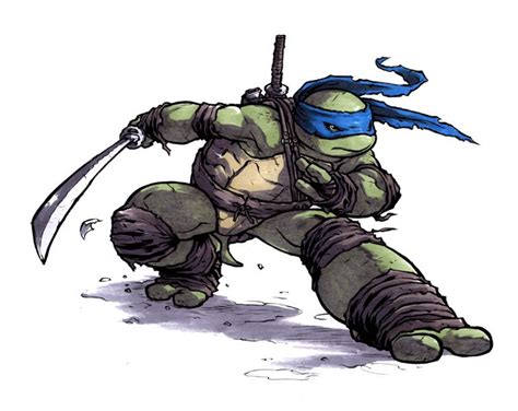 NickALive!: IDW Announces Leonardo and Michelangelo 'TMNT' Macro Issues